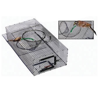 SPARROW TRAP 7 IN X 12 IN X 24 IN