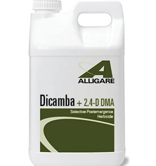 DICAMBA + 2,4-D DMA HERBICIDE AMBER 270 GAL
