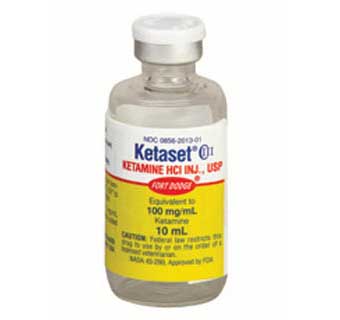 KETASET® (KETAMINE HYDROCHLORIDE) INJECTABLE 100 MG 10 ML CIIIN