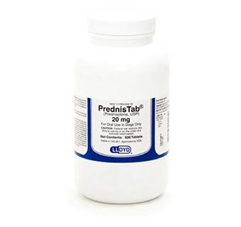 PREDNISOLONE TABLETS 20 MG 500/BOTTLE (RX)