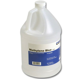 METHYLENE BLUE SOLUTION 1% 16 OZ 1/PKG
