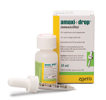 ZOETIS AMOXI-DROPS® 50 MG 15 ML (RX)