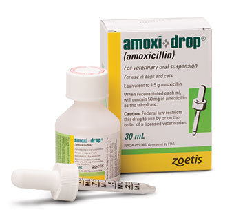 ZOETIS AMOXI-DROPS® 50 MG 30 ML (RX)