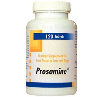 PROSAMINE® CHEWABLE TABLETS 120/BOTTLE