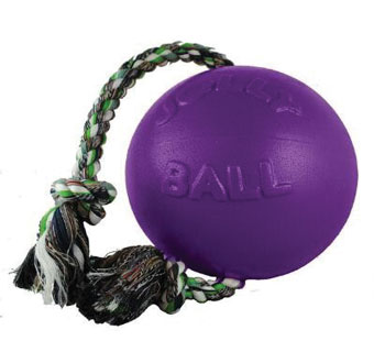 JOLLY PETS® ROMP-N-ROLL JOLLY BALL MED 6 IN PURPLE