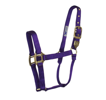 HAMILTON® 1D LG NYL DELUXE EQ-HALTER WITH BRS HARDWARE L 1 IN PURPLE