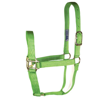 HAMILTON® 1Q NYL QUALITY EQ-HALTER WITH BRS HARDWARE AVG 1 IN LIME
