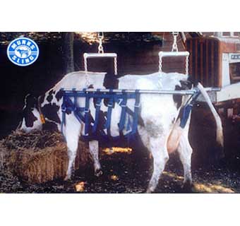 MUNKS COW SLING C-1000 - Animal Health International, Inc.