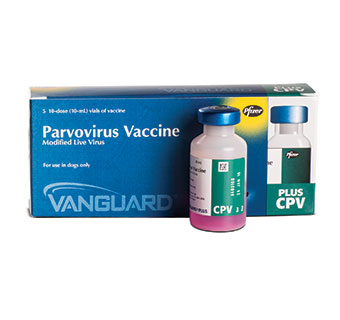 VANGUARD® PLUS CPV 10 DOSE - Animal Health International, Inc.