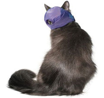 QUICK CAT MUZZLE L OVER 11 LB BLUE