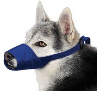 COLOR CODED QUICK MUZZLE BLUE BD/SKY STRAP L 45 - 60 LB