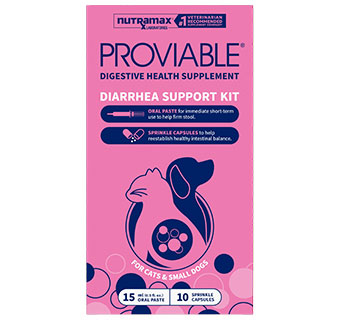 PROVIABLE-KP FOR CATS AND SMALL DOGS PASTE AND CAPSULE KIT 15 ML