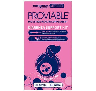 PROVIABLE-KP FOR MEDIUM AND LARGE DOGS PASTE AND CAPSULE KIT 30 ML