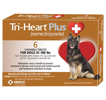 TRI-HEART® PLUS CHEWABLE TABLETS 51-100 LB BROWN 272MG 6 DOSES X 10 BOXES (RX)