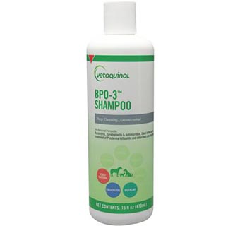 BPO-3 SHAMPOO 16 OZ
