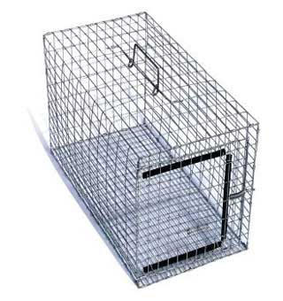 SMALL CARRYING CAGE 12 IN X 14 IN X 24 IN