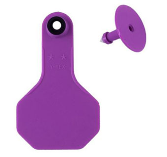 ALL-AMERICAN® 2-PIECE 2-STAR SMALL  COMBO EAR TAGS 2P - PURPLE - 25/BOX