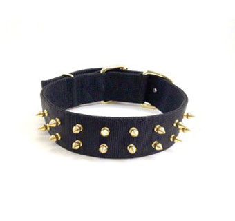 760 SB DBL LAYER BIG DOGG COLLAR WITH BRASS SPIKE NYLON BLACK 1-3/4 IN 18 IN L