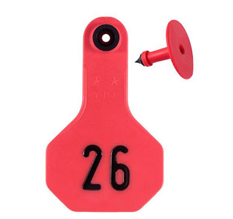 ALL-AMERICAN® 2-PIECE SMALL COMBO EAR TAGS RED #26-50 25/PKG