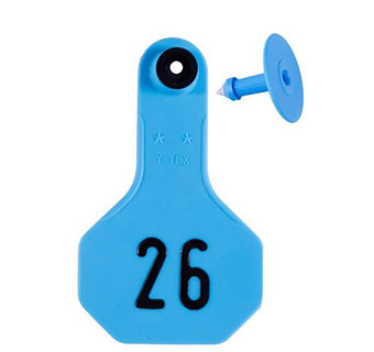 ALL-AMERICAN® 2-PIECE SMALL COMBO EAR TAGS BLUE #26-50 25/PKG