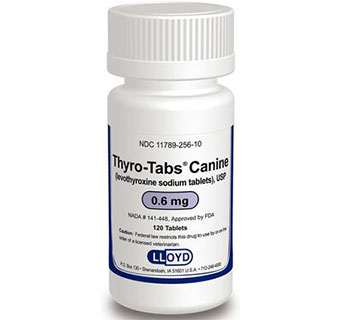 THYRO-TABS® 0.6 MG 120/BOTTLE (RX)