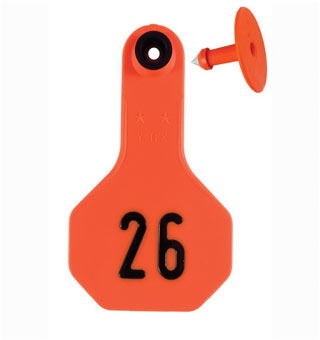 ALL-AMERICAN® 2-PIECE 2-STAR SMALL COMBO TAG S ORANGE 26-50 25/PKG