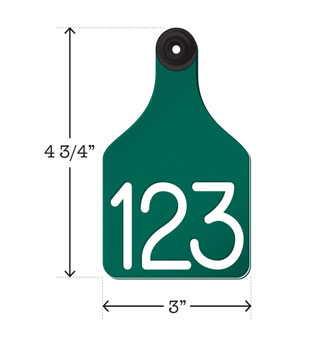 SET_1 UNIVERSAL DUAL COLORED BLANK TAG L WHITE LEGEND 3 IN GREEN 25/PKG