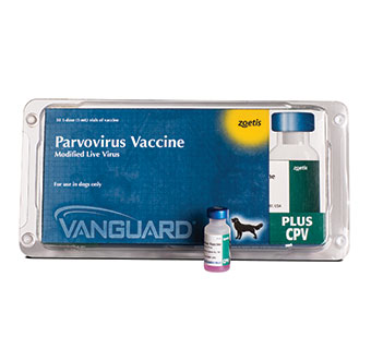 vanguard parvo vaccine
