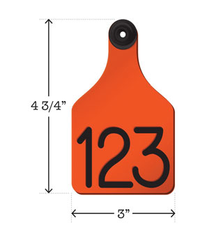 SET_1 UNIVERSAL DUAL COLORED BLANK TAG L ORANGE 25/PKG