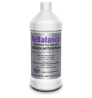 REBALANCE® (RX) - QUART - EACH