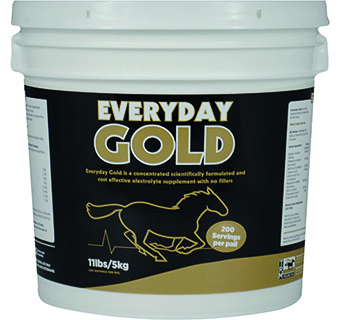 TRM EVERYDAY GOLD ELECTROLYTE POWDER HORSE SUPPLEMENT 11 LB 1/PKG