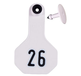 ALL-AMERICAN® 2-PIECE SMALL COMBO EAR TAGS WHITE #26-50 25/PKG