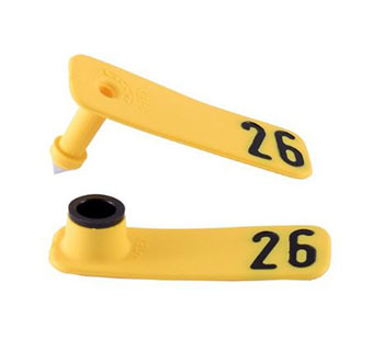 SHEEPSTAR™ 2-PIECE NUMBERED EAR TAGS YELLOW #26-50 25/PKG