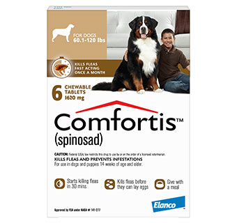 COMFORTIS CHEWABLE TABLETS BROWN 60.1-120 LB DOG 10 X 6 DOSE RX
