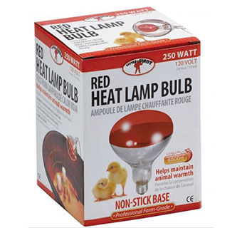 RED BULB FOR BROODER LAMP - 250 WATT - 12/PKG