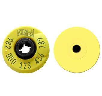 HDX REUSABLE YELLOW PLUS SMALL FEMALE 50 COUNT