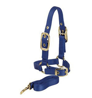 121 SAC X NYLON ADJUSTABLE SHEEP HALTER WITH CHIN AND 5 FT LEAD RED