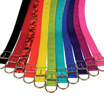 760 DBL LAYER BIG DOGG COLLAR NYLON 22 IN X 1-3/4 IN TURQUOISE