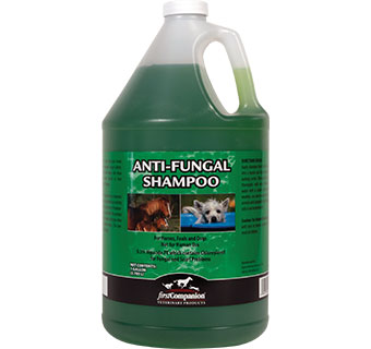 FIRST COMPANION® ANTI-FUNGAL SHAMPOO 1 GALLON 1/PKG