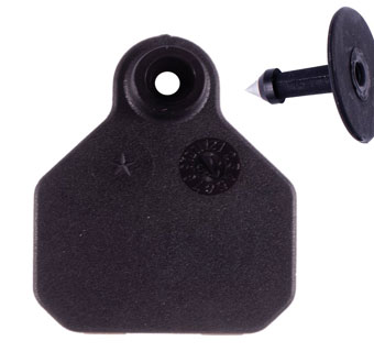 ALL-AMERICAN® 2-PIECE 1-STAR COMBO BLANK TAG MINI BLACK 25/PKG