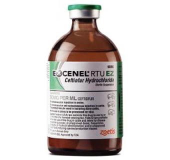 EXCENEL® RTU EZ 100 ML (RX)