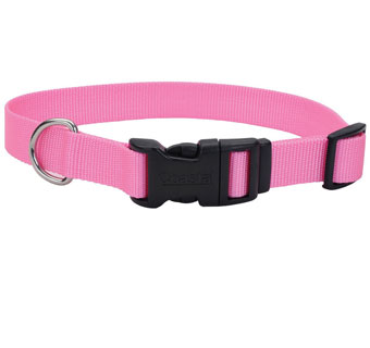 06301 ADJ TUFF DOG COLLAR WITH BUCKLE NYLON 8 - 12 IN X 3/8 IN BRIGHT PINK