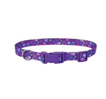 STYLES 06421 ADJ DOG COLLAR NYLON 10 - 14 IN X 5/8 IN SPECIAL PAW