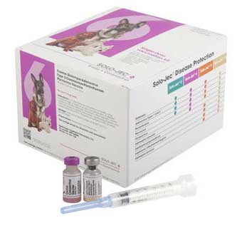 SOLO JEC® 6 1 DOSE SYRINGE