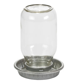 LITTLE GIANT® HEAVY-DUTY MASON JAR BABY CHICK WATERER 1 QT CLEAR STEEL