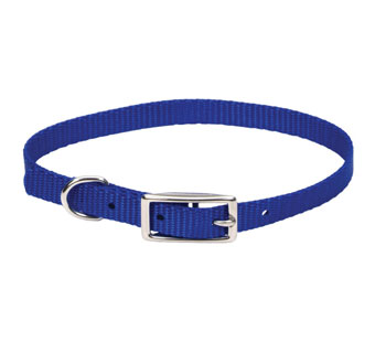 00301 SINGLE-PLY DOG COLLAR NYLON 10 IN X 3/8 IN BLUE