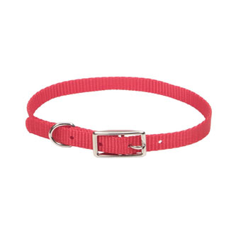 00301 SINGLE-PLY DOG COLLAR NYLON 10 IN X 3/8 IN RED