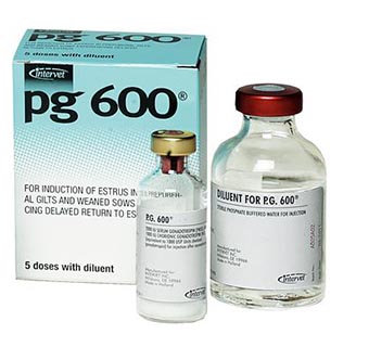PG 600® 25 ML (5 DOSES)