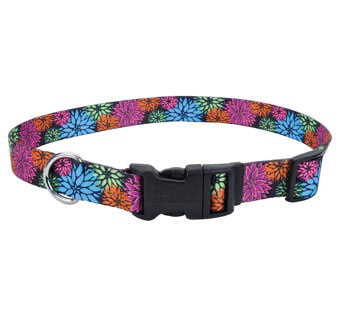 STYLES 06321 ADJ DOG COLLAR NYLON 8 - 12 IN X 3/8 IN WILDFLOWER
