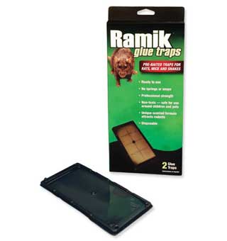 RAMIK® RAT GLUE TRAP NON-TOXIC 2/PKG